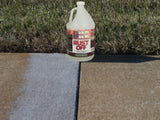 WSI Rust Off Cleaner, 6