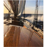 Epifanes Clear Gloss Varnish with Extra UV Filter Bundle Kits
