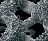 Mirka Autonet Closeup Pic, 2
